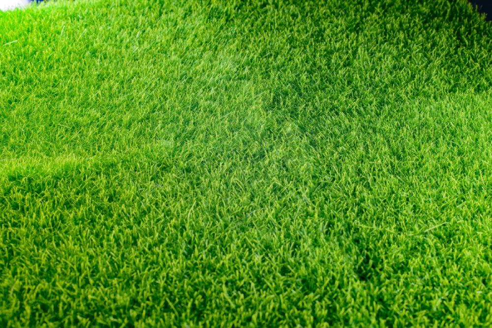 ¿Cómo elegir la altura ideal del césped artificial?